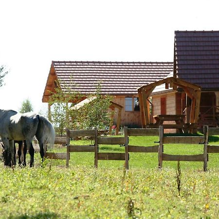 Le Hameau Des Grilles Βίλα Saint-Fargeau  Εξωτερικό φωτογραφία