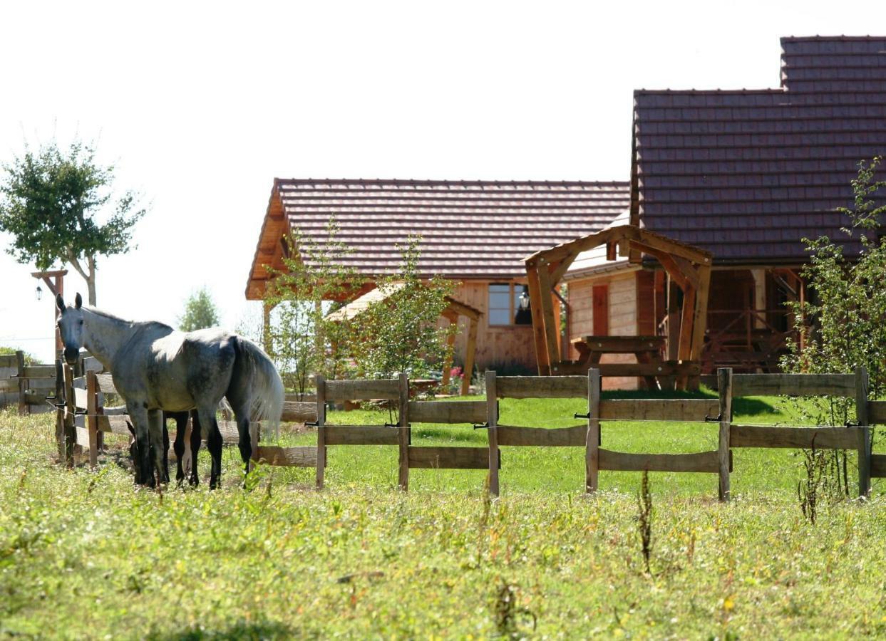 Le Hameau Des Grilles Βίλα Saint-Fargeau  Εξωτερικό φωτογραφία